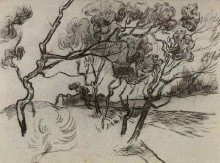 Репродукция картины "pine trees along a road to a house" художника "ван гог винсент"