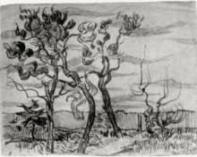 Репродукция картины "pine trees in front of the wall of the asylum" художника "ван гог винсент"