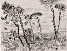 Репродукция картины "pine trees in front of the wall of the asylum" художника "ван гог винсент"