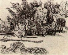 Репродукция картины "pine trees near the wall of the asylum" художника "ван гог винсент"