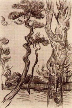 Репродукция картины "pine trees seen against the wall of the asylum" художника "ван гог винсент"