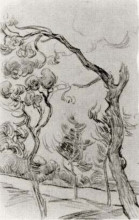 Репродукция картины "pine trees seen against the wall of the asylum" художника "ван гог винсент"