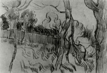 Картина "pine trees seen against the wall of the asylum" художника "ван гог винсент"