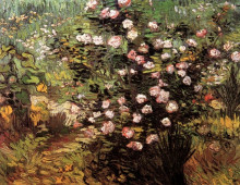 Репродукция картины "rosebush in blossom" художника "ван гог винсент"