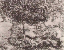 Картина "trees and shrubs" художника "ван гог винсент"