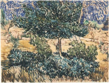 Репродукция картины "trees and shrubs" художника "ван гог винсент"