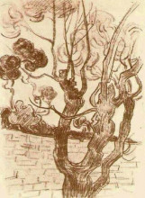 Картина "treetop seen against the wall of the asylum" художника "ван гог винсент"
