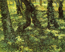 Репродукция картины "trunks of trees with ivy" художника "ван гог винсент"