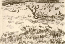 Репродукция картины "field with bare tree" художника "ван гог винсент"