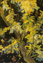 Картина "blossoming acacia branches" художника "ван гог винсент"