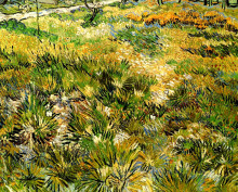 Картина "meadow in the garden of saint-paul hospital" художника "ван гог винсент"