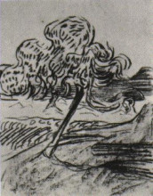 Репродукция картины "study of a fruit tree" художника "ван гог винсент"
