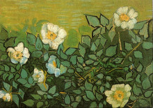 Картина "wild roses" художника "ван гог винсент"