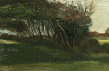Репродукция картины "landscape with windswept trees" художника "ван гог винсент"