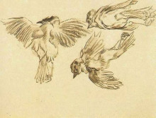 Репродукция картины "studies of a dead sparrow" художника "ван гог винсент"