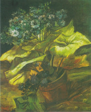 Репродукция картины "flower pot with asters" художника "ван гог винсент"