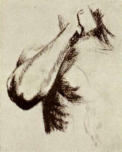 Репродукция картины "sketch of a right arm and shoulder" художника "ван гог винсент"