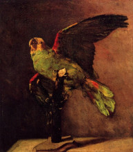 Копия картины "the green parrot" художника "ван гог винсент"