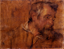 Копия картины "профиль. этюд бородатого старика" художника "ван дейк антонис"