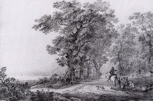 Репродукция картины "landscape with forest" художника "ван стрий якоб"