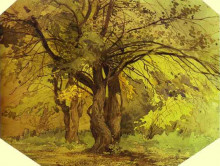 Картина "trees" художника "васильев фёдор"