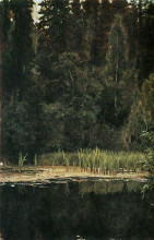 Репродукция картины "pond in akhtyrka" художника "васнецов виктор"