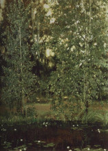 Репродукция картины "pond in ochtir" художника "васнецов виктор"