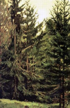 Копия картины "edge of the spruce forest" художника "васнецов виктор"