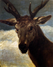 Репродукция картины "head of a stag" художника "веласкес диего"