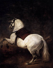 Репродукция картины "a white horse" художника "веласкес диего"