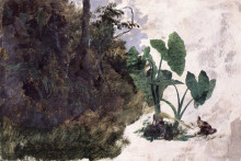 Копия картины "hojas de mafafa" художника "веласко хосе мария"
