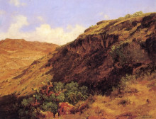 Репродукция картины "ladera occidental del cerro de guerrero" художника "веласко хосе мария"