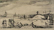 Картина "sperm whale on the beach of noordwijk" художника "вельде эсайас ван де"
