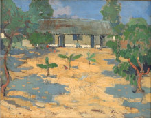 Копия картины "cottage, nelspruit" художника "веннинг питер"