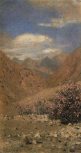 Репродукция картины "roses in ladakh" художника "верещагин василий"