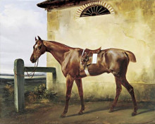 Репродукция картины "a saddled race horse tied to a fence" художника "верне орас"