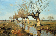 Копия картины "pollard willow at the side of the broo" художника "вреденбург корнелис"