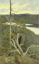 Репродукция картины "the great black woodpecker" художника "галлен-каллела аксели"