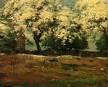 Репродукция картины "blossoms" художника "гассам чайльд"