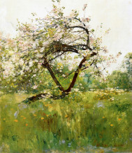 Репродукция картины "peach blossoms - villiers-le-bel" художника "гассам чайльд"