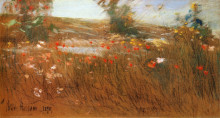 Репродукция картины "poppies, isles of shoals" художника "гассам чайльд"