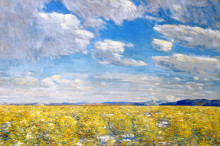 Репродукция картины "afternoon sky, harney desert" художника "гассам чайльд"