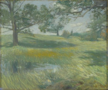 Репродукция картины "meadows" художника "гассам чайльд"