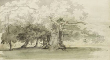 Копия картины "trees in a park" художника "гёртин томас"
