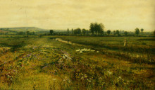 Репродукция картины "an extensive meadow landscape with geese by a stream" художника "гримшоу джон эткинсон"