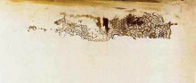 Картина "lace impression, spectral form" художника "гюго виктор"