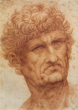 Репродукция картины "head of a man" художника "да винчи леонардо"