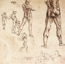 Картина "anatomical studies" художника "да винчи леонардо"
