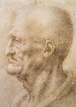 Репродукция картины "profile of an old man" художника "да винчи леонардо"