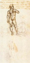 Репродукция картины "study of david by michelangelo" художника "да винчи леонардо"